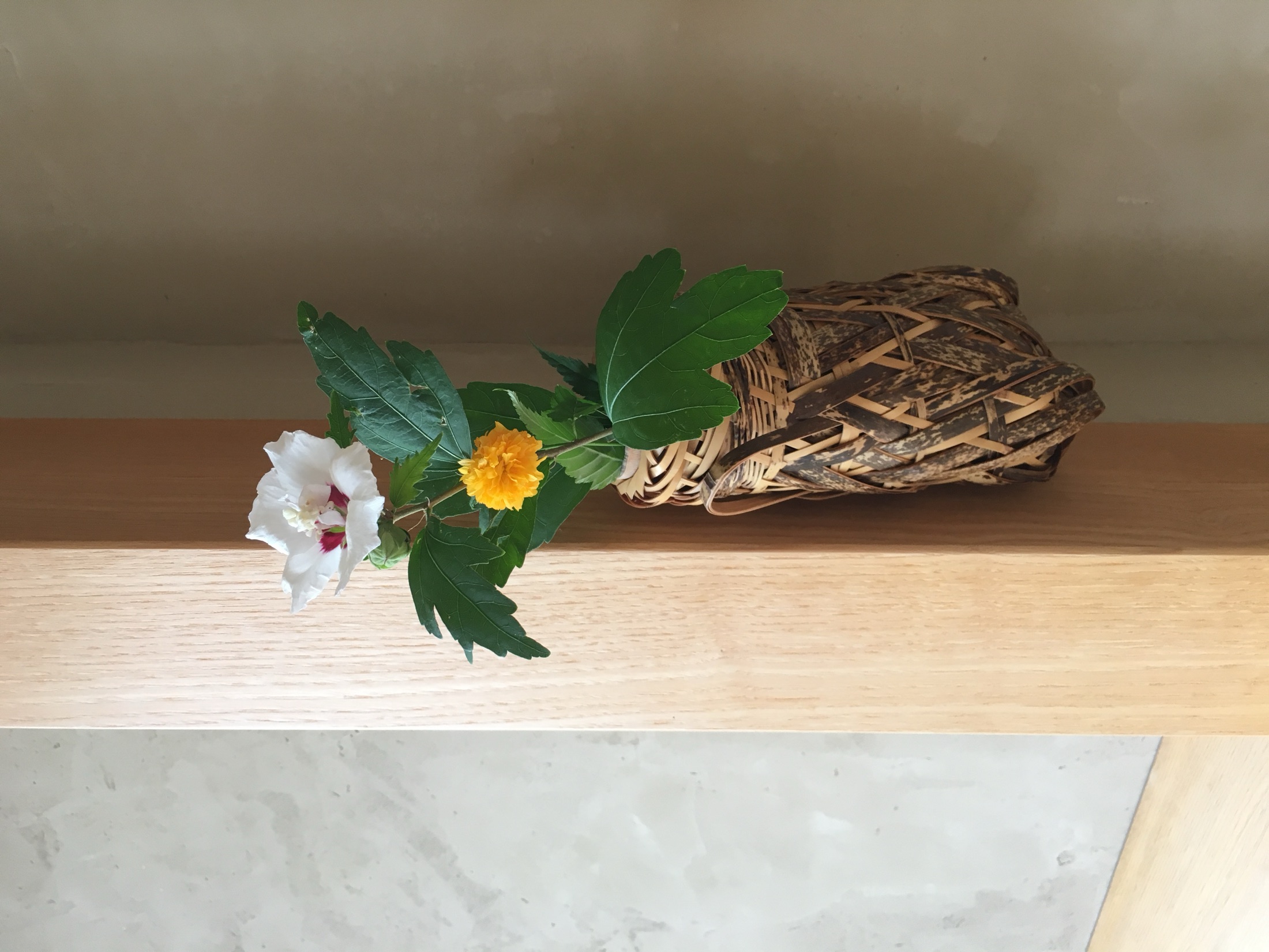床の間に生けられた一輪の花